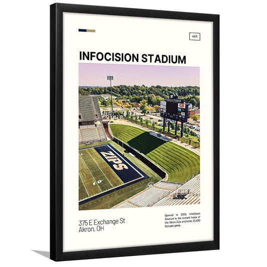 InfoCision Stadium Print, Akron Zips Stadium Art, Gifts for him, Sport Art, Framed Art Print Wall Decor