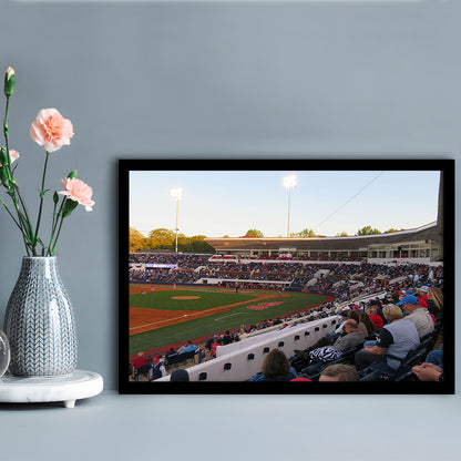 Interior of Swayze Field, Stadium Canvas, Sport Art, Gift for him, Framed Art Print Wall Decor, Picture Framed
