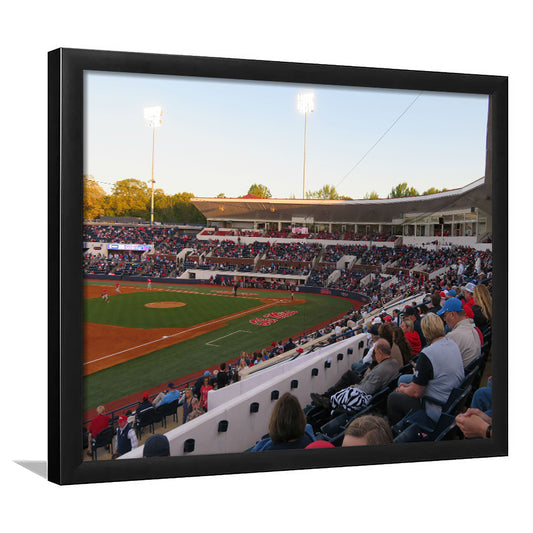 Interior of Swayze Field, Stadium Canvas, Sport Art, Gift for him, Framed Art Print Wall Decor, Picture Framed