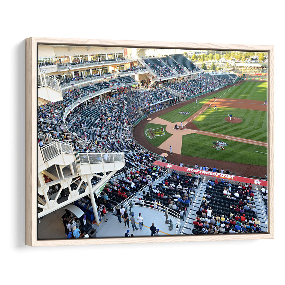 Isotopes Park in Mexico, Stadium Canvas, Sport Art, Framed Canvas Print Wall Art, Floating Frame