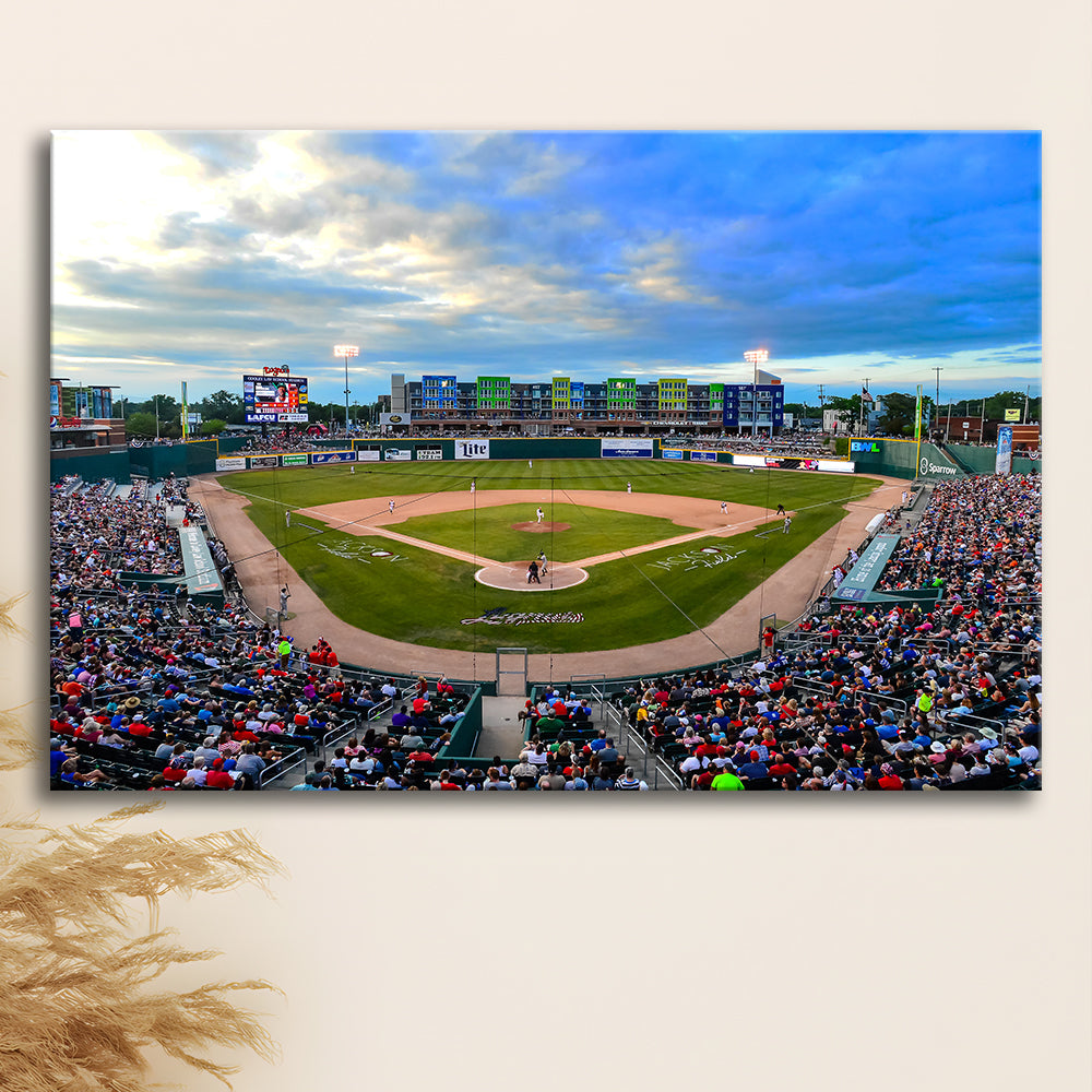 Jackson Field, Stadium Canvas, Sport Art, Gift for him, Man Cave Decor, Art Print, Canvas Print Wall Art