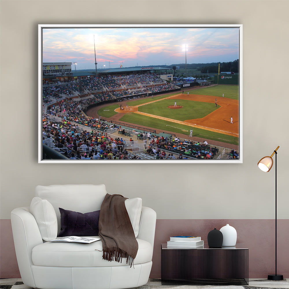 Jackson Field in Lansing, Stadium Canvas, Sport Art, Framed Canvas Print Wall Art, Floating Frame