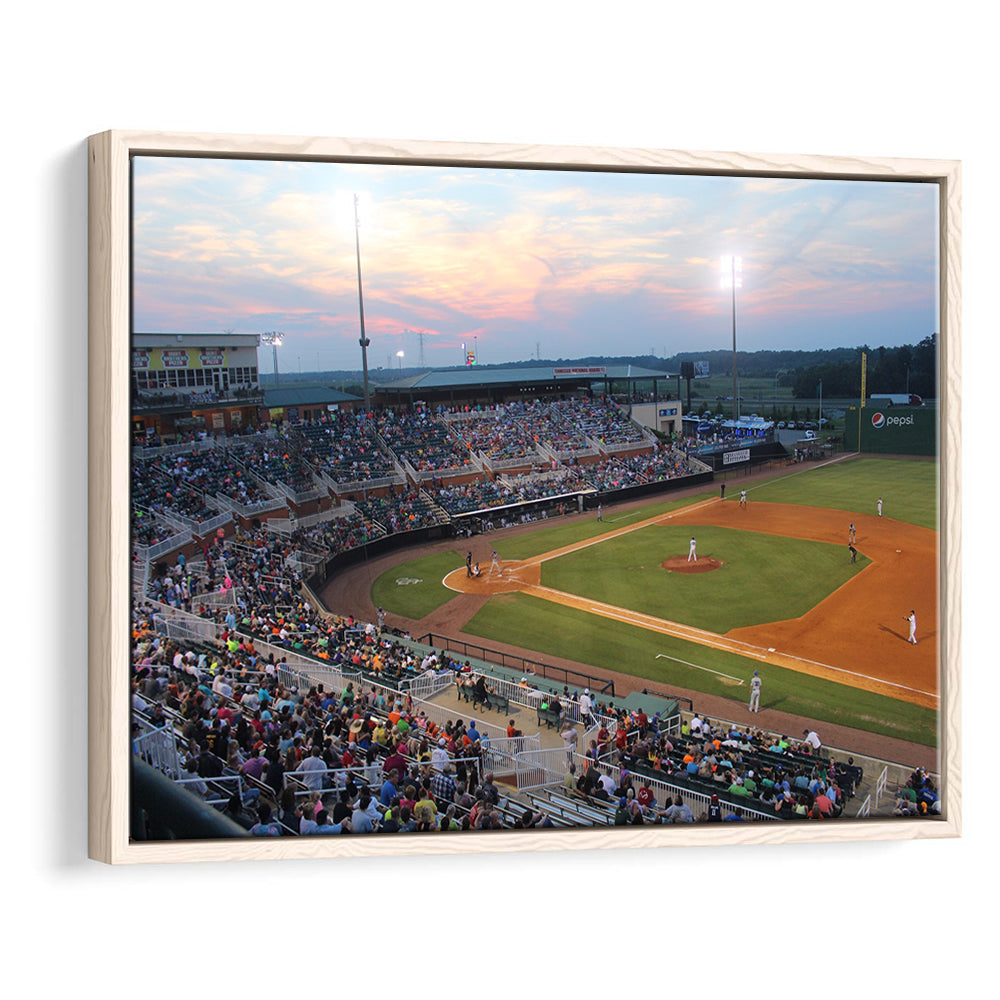 Jackson Field in Lansing, Stadium Canvas, Sport Art, Framed Canvas Print Wall Art, Floating Frame