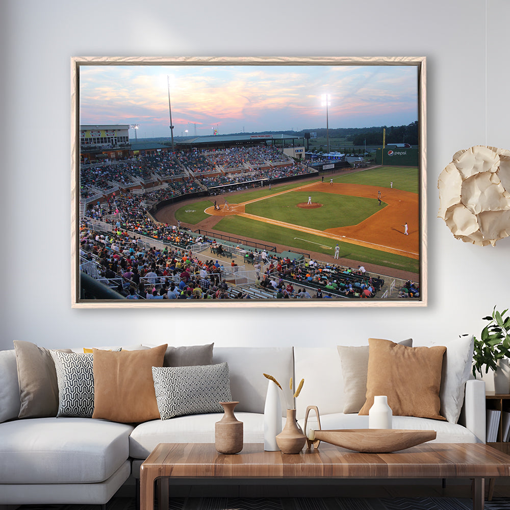 Jackson Field in Lansing, Stadium Canvas, Sport Art, Framed Canvas Print Wall Art, Floating Frame