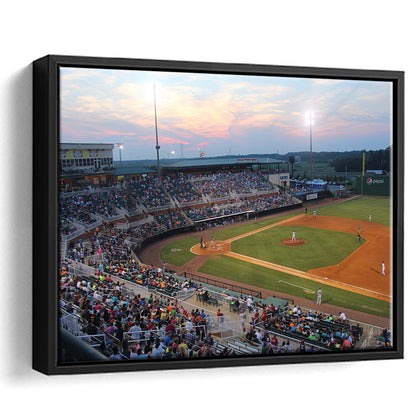 Jackson Field in Lansing, Stadium Canvas, Sport Art, Framed Canvas Print Wall Art, Floating Frame