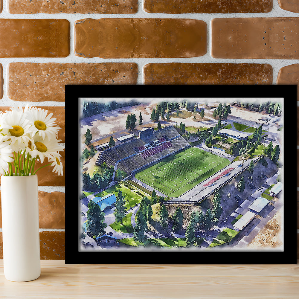 Joe Albi Painting Stadium Watercolor, Spokane Washington Watercolor, Sport Gift Art, Framed Art Print Wall Decor