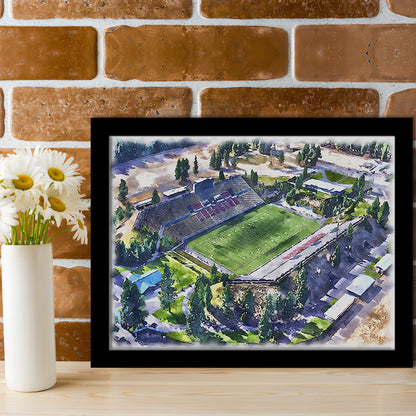 Joe Albi Painting Stadium Watercolor, Spokane Washington Watercolor, Sport Gift Art, Framed Art Print Wall Decor