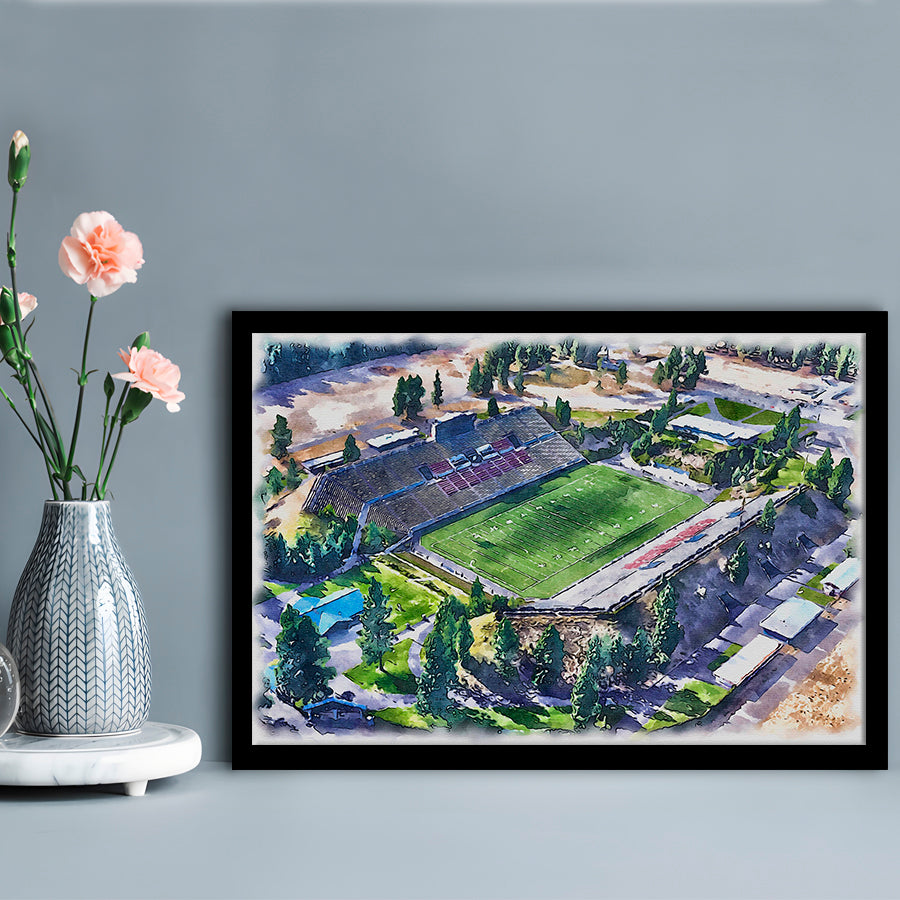Joe Albi Painting Stadium Watercolor, Spokane Washington Watercolor, Sport Gift Art, Framed Art Print Wall Decor