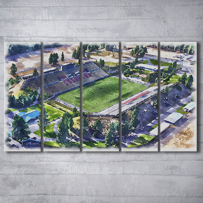 Joe Albi Painting Stadium Watercolor, Spokane Washington Watercolor, Sport Art, Extra Large Canvas Print Wall Art