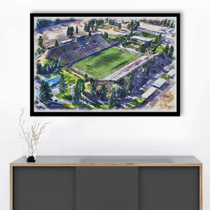 Joe Albi Painting Stadium Watercolor, Spokane Washington Watercolor, Sport Gift Art, Framed Art Print Wall Decor