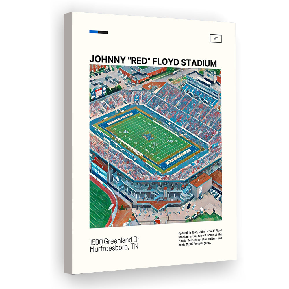 Johnny Red Floyd Stadium Print, Stadium Canvas Art, Fan Gifts, Sport Art, Canvas Print Wall Art