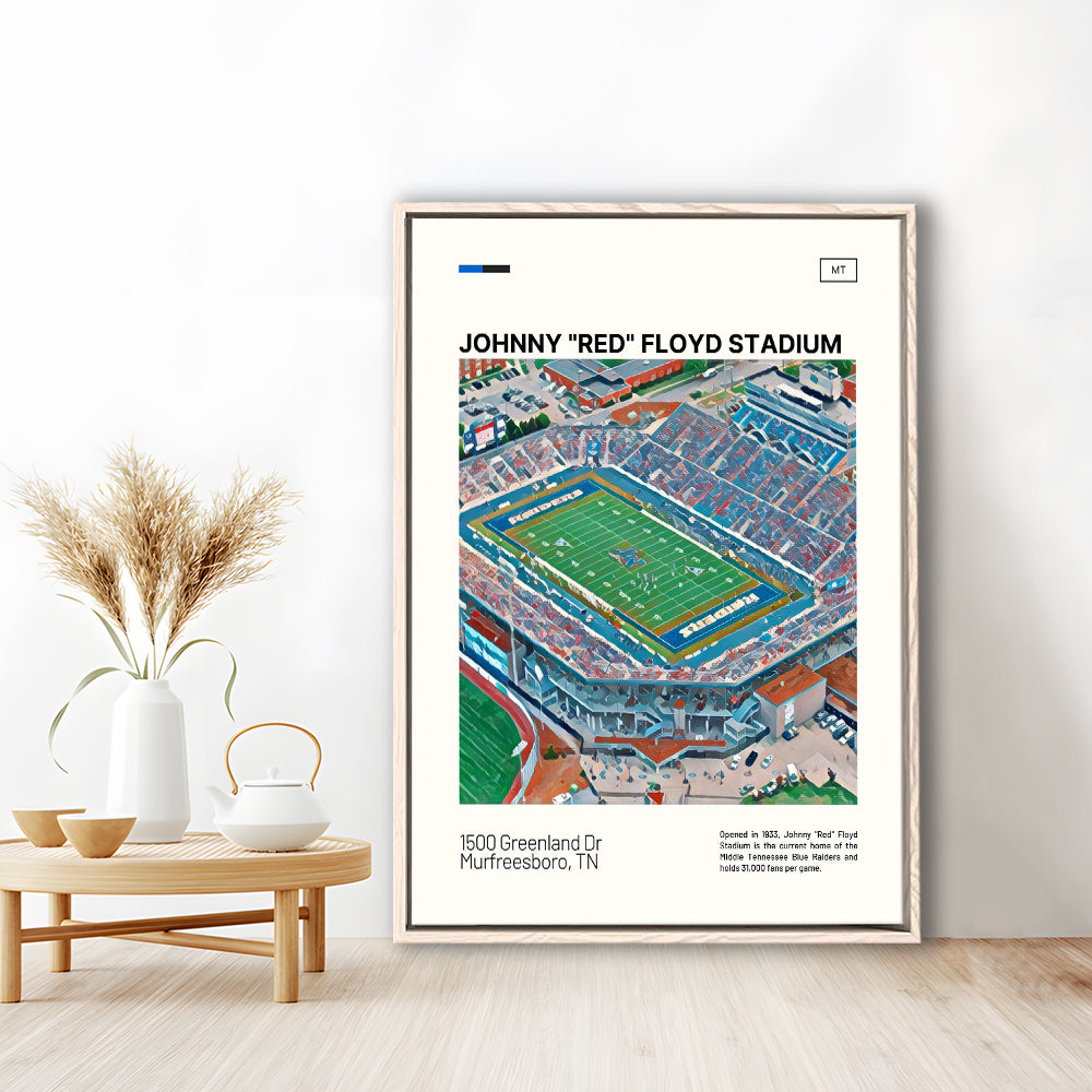 Johnny Red Floyd Stadium Print, Stadium Canvas Art, Man Cave Gift, Floating Framed Canvas Print Wall Art