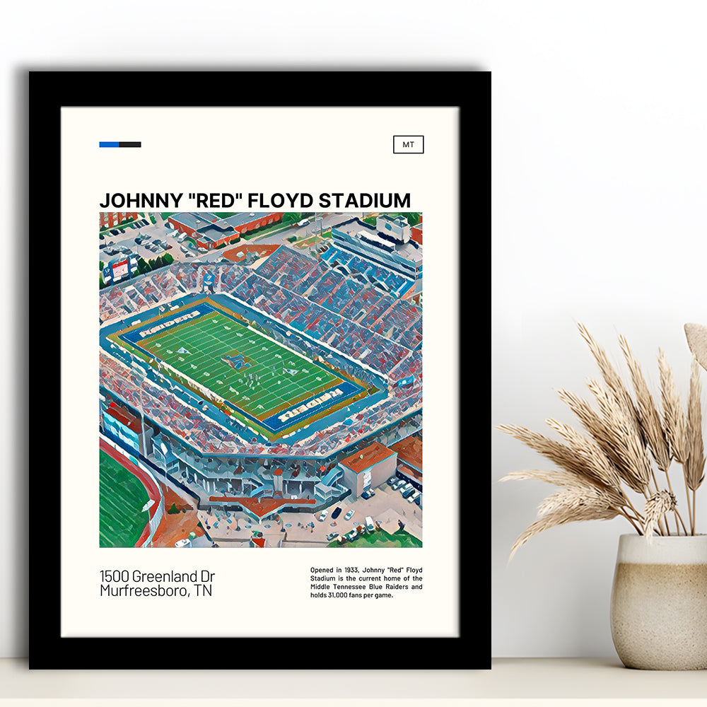 Johnny Red Floyd Stadium Print, Stadium Art, Gifts for him, Sport Art, Framed Art Print Wall Decor