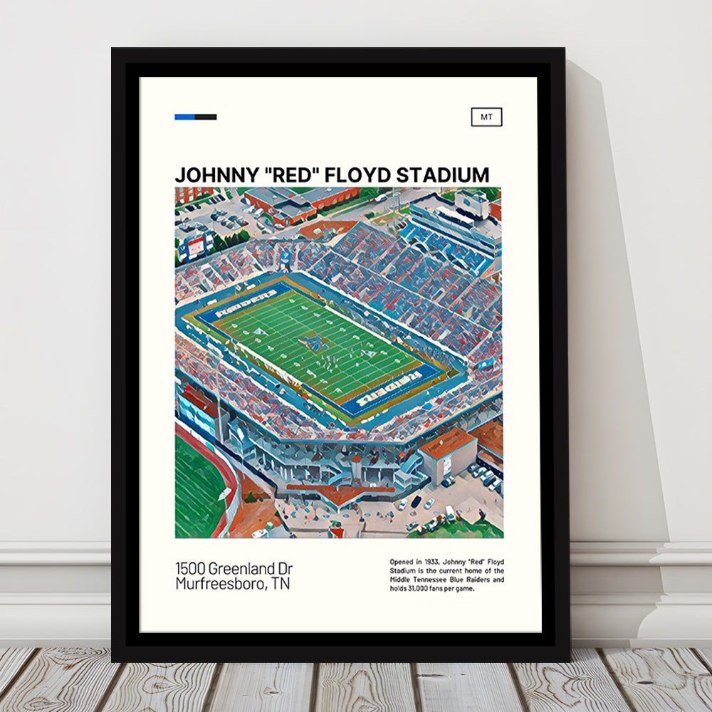 Johnny Red Floyd Stadium Print, Stadium Canvas Art, Man Cave Gift, Floating Framed Canvas Print Wall Art