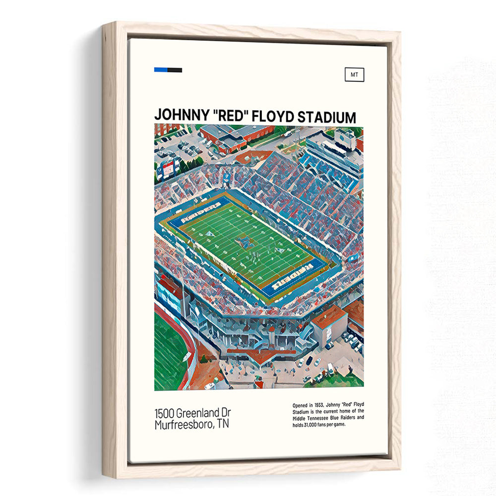 Johnny Red Floyd Stadium Print, Stadium Canvas Art, Man Cave Gift, Floating Framed Canvas Print Wall Art