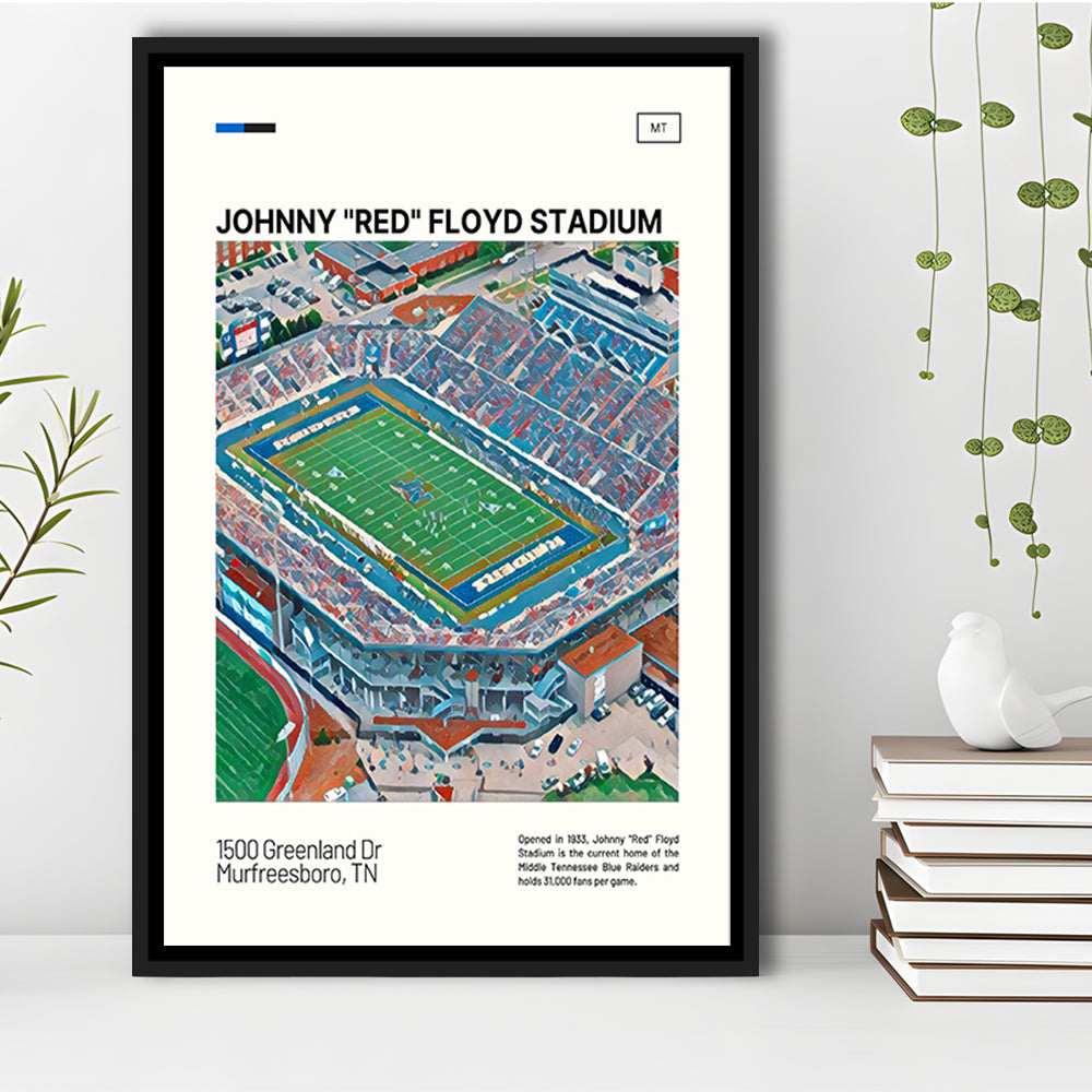 Johnny Red Floyd Stadium Print, Stadium Canvas Art, Man Cave Gift, Floating Framed Canvas Print Wall Art