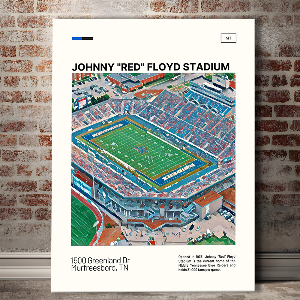 Johnny Red Floyd Stadium Print, Stadium Canvas Art, Fan Gifts, Sport Art, Canvas Print Wall Art