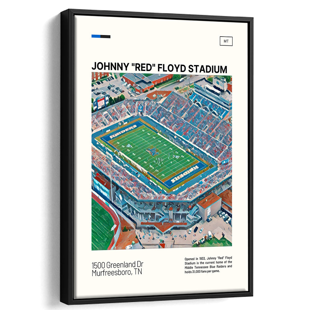 Johnny Red Floyd Stadium Print, Stadium Canvas Art, Man Cave Gift, Floating Framed Canvas Print Wall Art