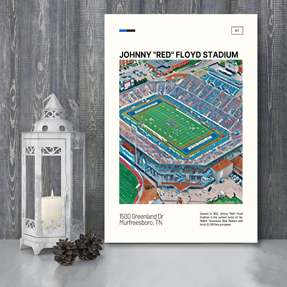 Johnny Red Floyd Stadium Print, Stadium Canvas Art, Fan Gifts, Sport Art, Canvas Print Wall Art