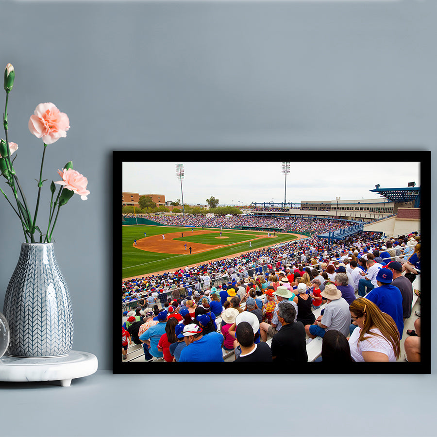 Kino Veterans Memorial, Stadium Canvas, Sport Art, Gift for him, Framed Art Print Wall Decor, Picture Framed