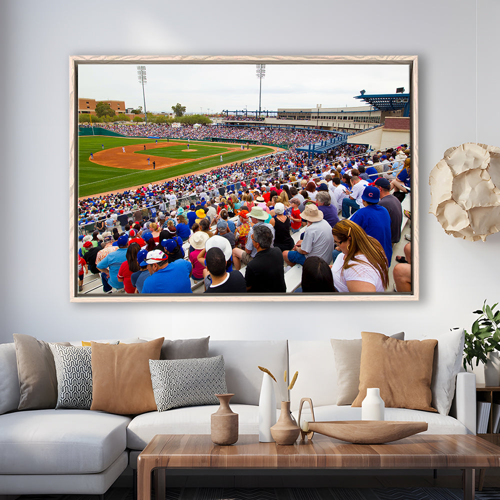 Kino Veterans Memorial, Stadium Canvas, Sport Art, Framed Canvas Print Wall Art, Floating Frame