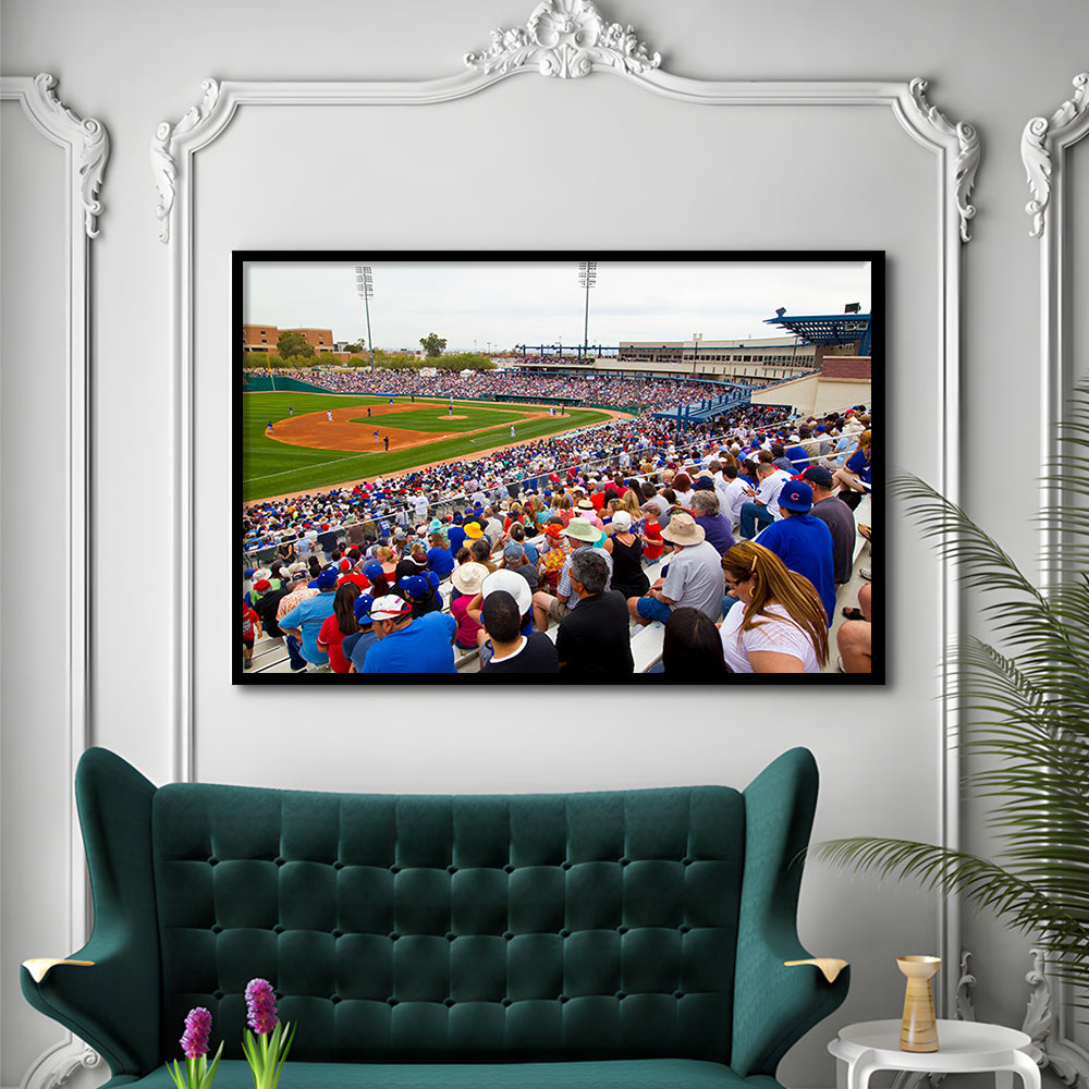 Kino Veterans Memorial, Stadium Canvas, Sport Art, Gift for him, Framed Art Print Wall Decor, Picture Framed