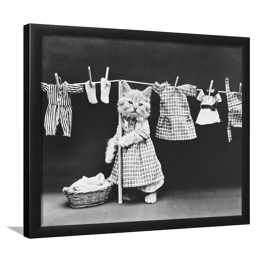 Kitten Hanging Laundry Black and White Art Funny Animal Photos, Framed Art Print Wall Decor