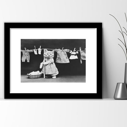 Kitten Hanging Laundry Black and White Art Funny Animal Photos, Framed Art Print White Border Wall Decor