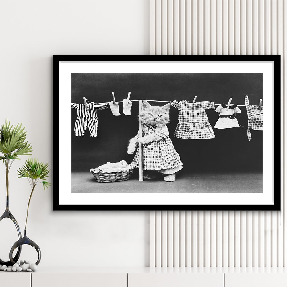 Kitten Hanging Laundry Black and White Art Funny Animal Photos, Framed Art Print White Border Wall Decor