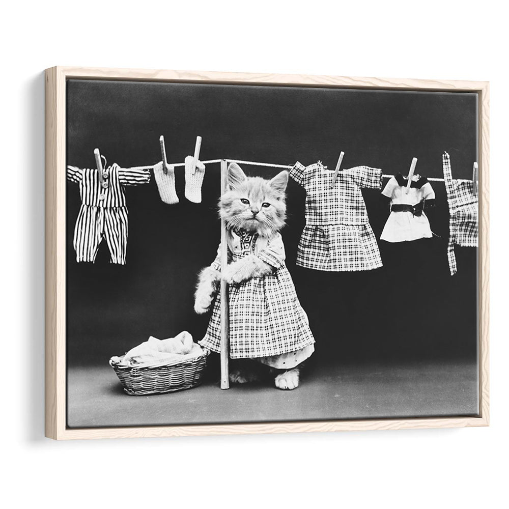 Kitten Hanging Laundry Black and White Art Funny Animal Photos, Floating Framed Canvas Print