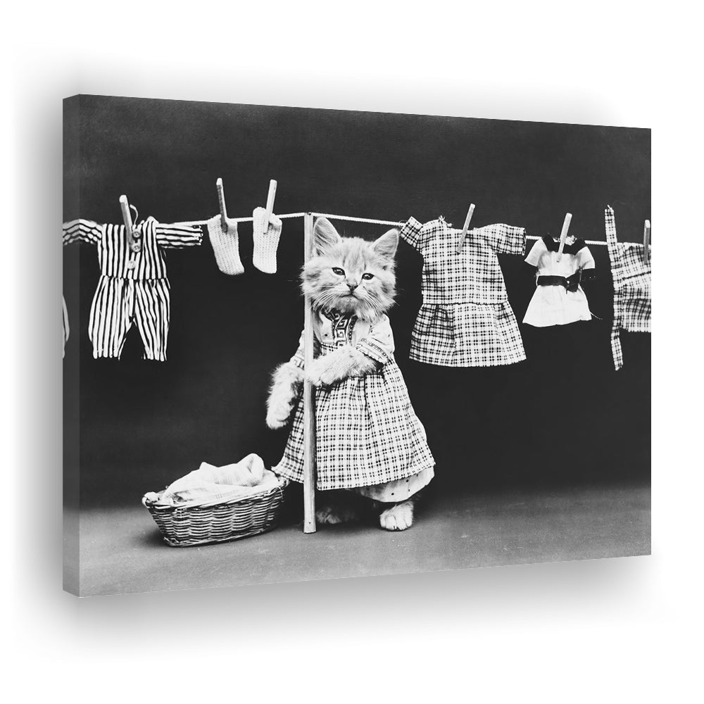 Kitten Hanging Laundry Black and White Art Funny Animal Photos, Canvas Print Wall Art Decor