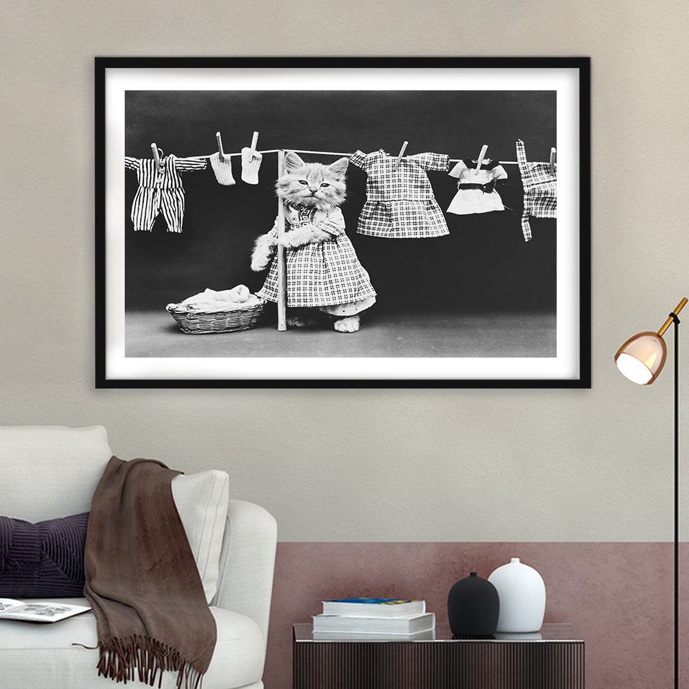 Kitten Hanging Laundry Black and White Art Funny Animal Photos, Framed Art Print White Border Wall Decor