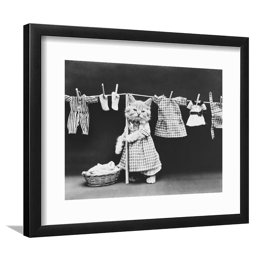 Kitten Hanging Laundry Black and White Art Funny Animal Photos, Framed Art Print White Border Wall Decor