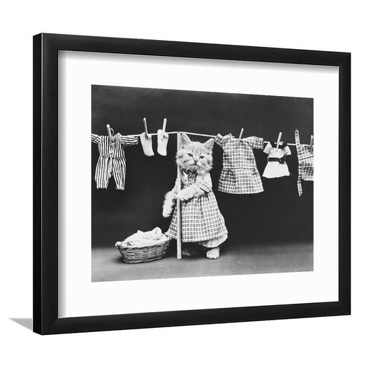Kitten Hanging Laundry Black and White Art Funny Animal Photos, Framed Art Print White Border Wall Decor