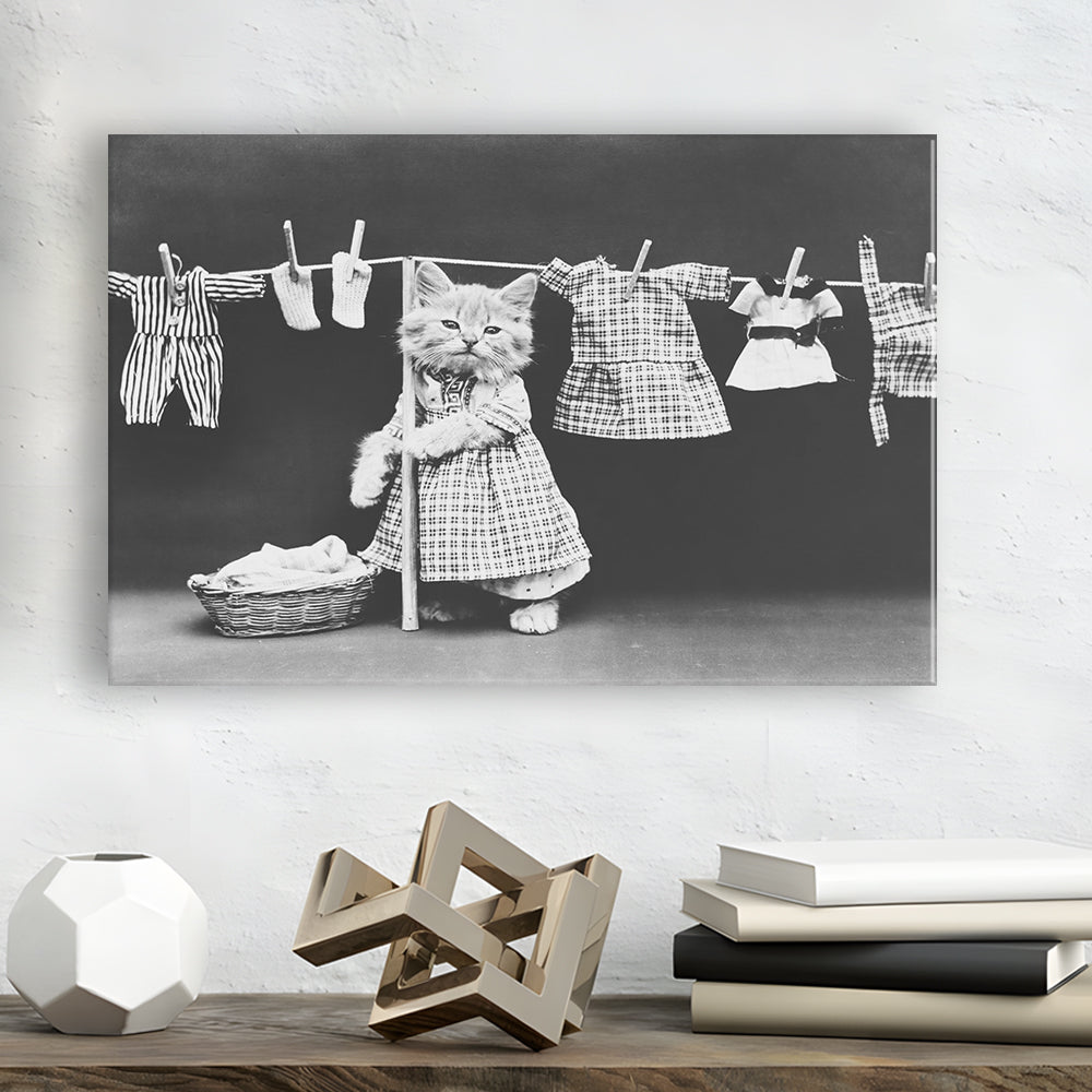 Kitten Hanging Laundry Black and White Art Funny Animal Photos, Canvas Print Wall Art Decor