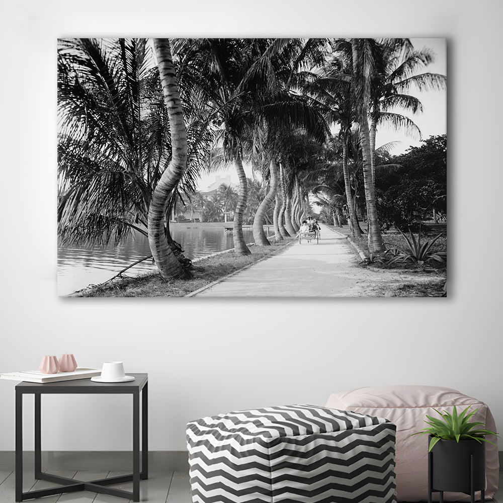 Lakeside Carriage Ride Florida Palm Tree Photo Black and White Art, Canvas Print Wall Art Decor