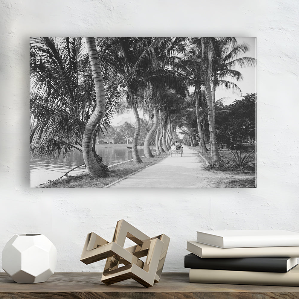 Lakeside Carriage Ride Florida Palm Tree Photo Black and White Art, Canvas Print Wall Art Decor