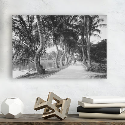 Lakeside Carriage Ride Florida Palm Tree Photo Black and White Art, Canvas Print Wall Art Decor