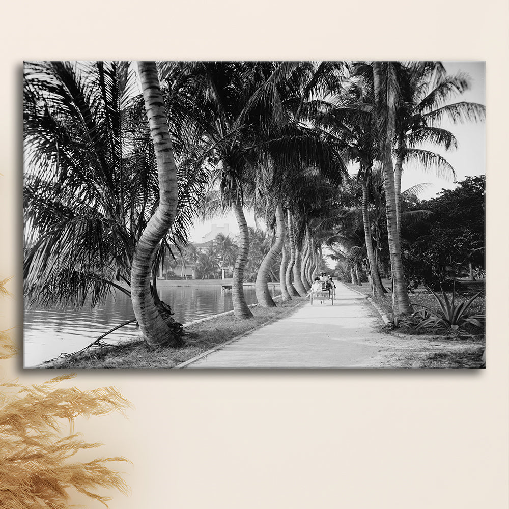 Lakeside Carriage Ride Florida Palm Tree Photo Black and White Art, Canvas Print Wall Art Decor