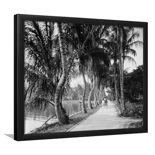 Lakeside Carriage Ride Florida Palm Tree Photo Black and White Art, Framed Art Print Wall Decor