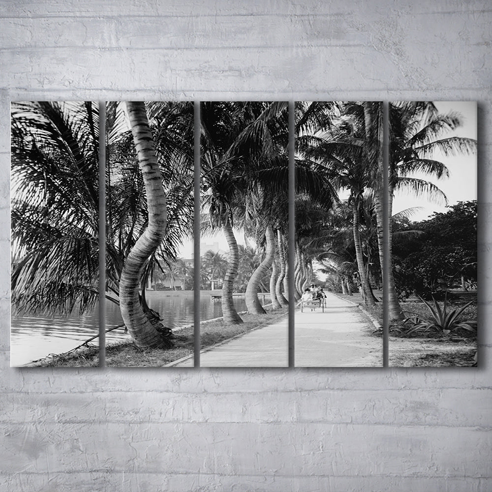 Lakeside Carriage Ride Florida Palm Tree Photo Black and White Art, 5 Pieces Large Canvas Print