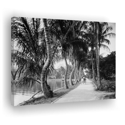 Lakeside Carriage Ride Florida Palm Tree Photo Black and White Art, Canvas Print Wall Art Decor