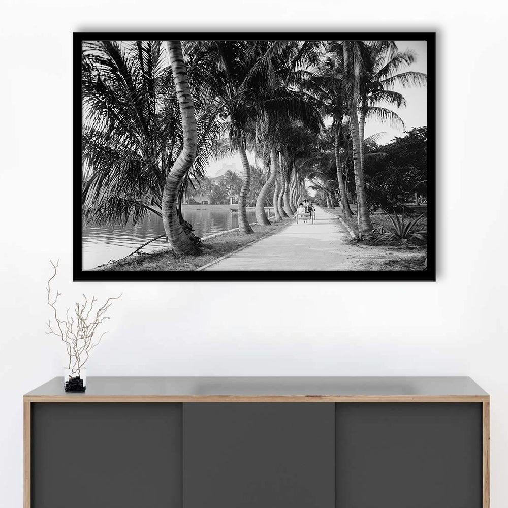 Lakeside Carriage Ride Florida Palm Tree Photo Black and White Art, Framed Art Print Wall Decor