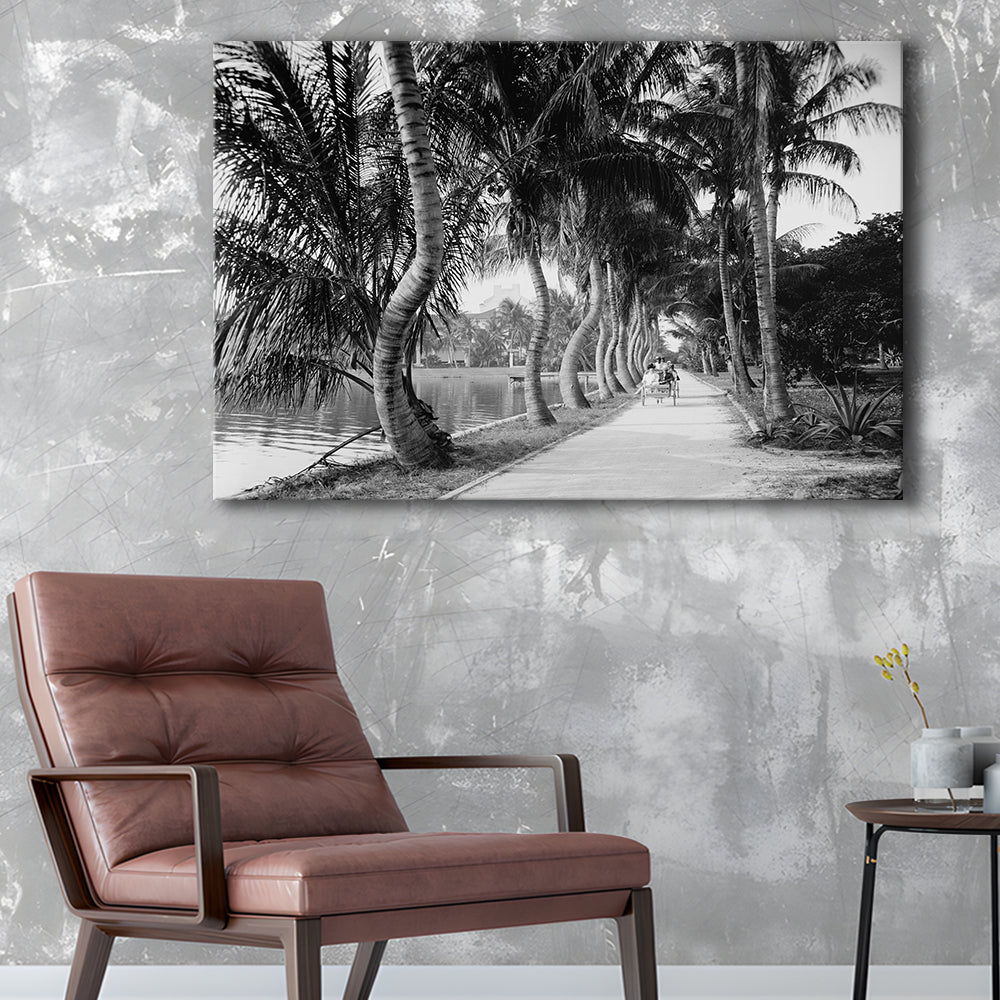 Lakeside Carriage Ride Florida Palm Tree Photo Black and White Art, Canvas Print Wall Art Decor