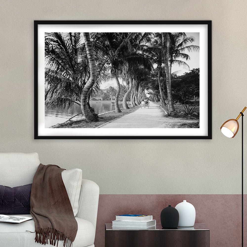 Lakeside Carriage Ride Florida Palm Tree Photo Black and White Art, Framed Art Print White Border Wall Decor