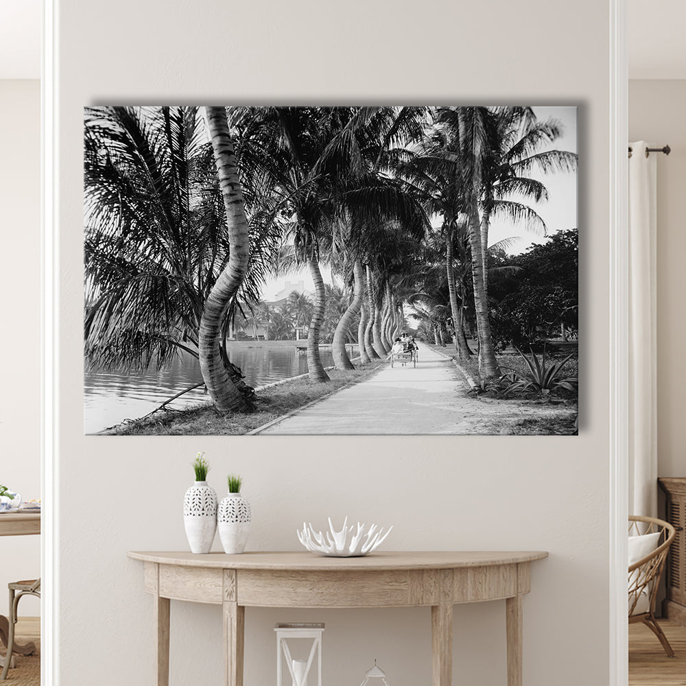 Lakeside Carriage Ride Florida Palm Tree Photo Black and White Art, Canvas Print Wall Art Decor