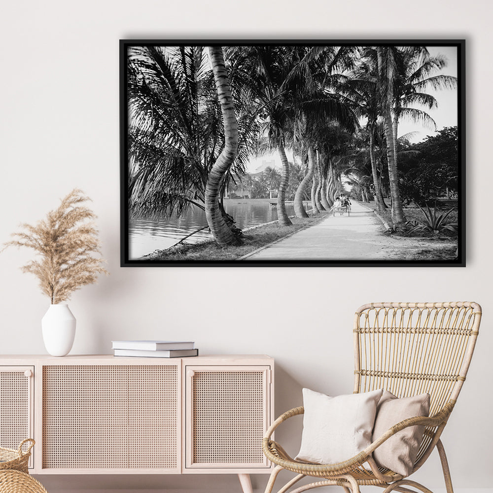 Lakeside Carriage Ride Florida Palm Tree Photo Black and White Art, Floating Framed Canvas Print