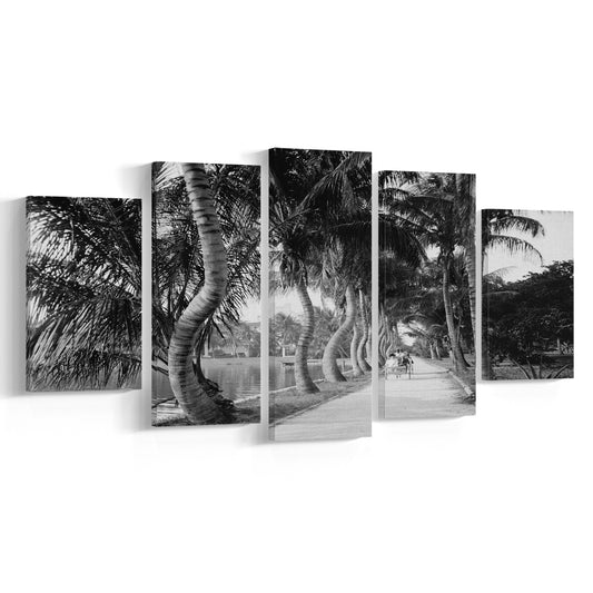 Lakeside Carriage Ride Florida Palm Tree Photo Black and White Art, Mixed 5 Pieces Canvas Print