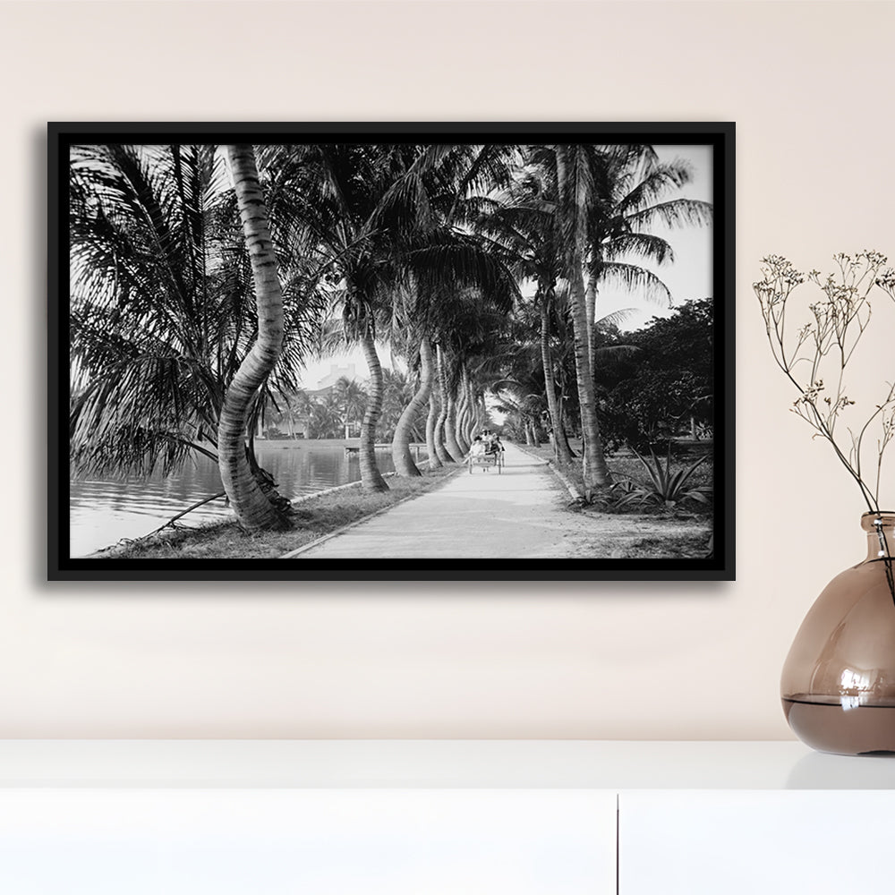 Lakeside Carriage Ride Florida Palm Tree Photo Black and White Art, Floating Framed Canvas Print