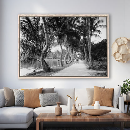 Lakeside Carriage Ride Florida Palm Tree Photo Black and White Art, Floating Framed Canvas Print